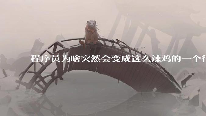 程序员为啥突然会变成这么辣鸡的一个行业？