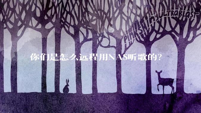 你们是怎么远程用NAS听歌的？