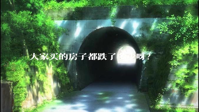大家买的房子都跌了多少呀？