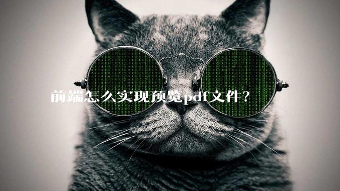 前端怎么实现预览pdf文件？