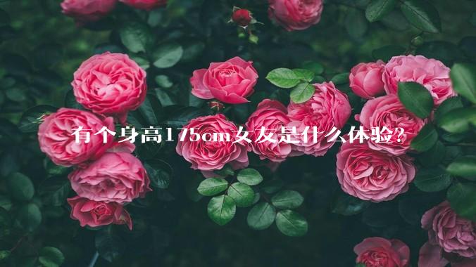 有个身高175cm女友是什么体验？