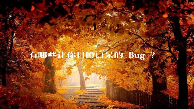 有哪些让你目瞪口呆的 Bug ？