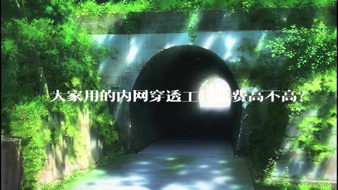 大家用的内网穿透工具收费高不高？