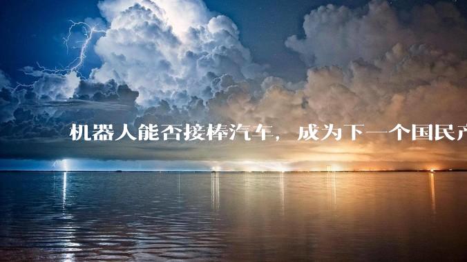 机器人能否接棒汽车，成为下一个国民产业？_路线_技术_地方