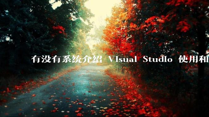 有没有系统介绍 Visual Studio 使用和技巧的书籍？