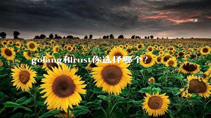 golang和rust你选择哪个？
