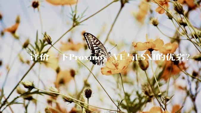 评价一下Proxmox VE与ESXi的优劣？