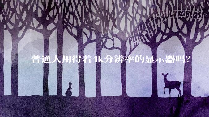 普通人用得着4k分辨率的显示器吗？