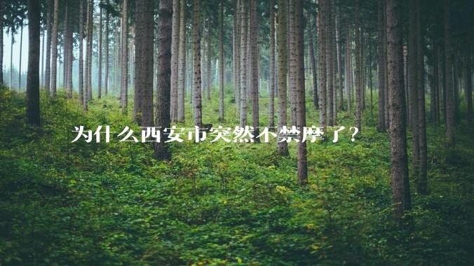 为什么西安市突然不禁摩了？