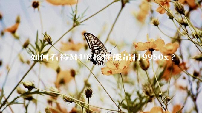 如何看待M4单核性能吊打9950x?