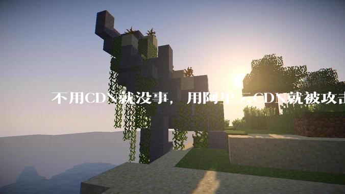不用CDN就没事，用阿里云CDN就被攻击刷流量，阿里云表示证明不了就要用户买单，如何看到这种行为？