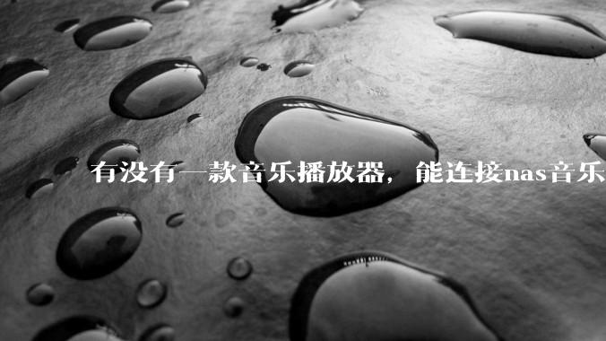 有没有一款音乐播放器，能连接nas音乐，创建音乐库，自动匹配歌词封面等等？类似infuse的概念呢？