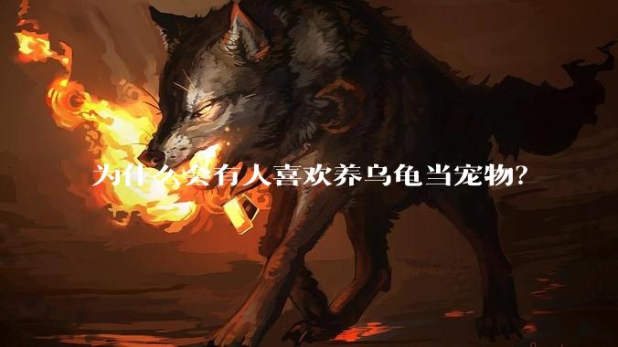 为什么会有人喜欢养乌龟当宠物？